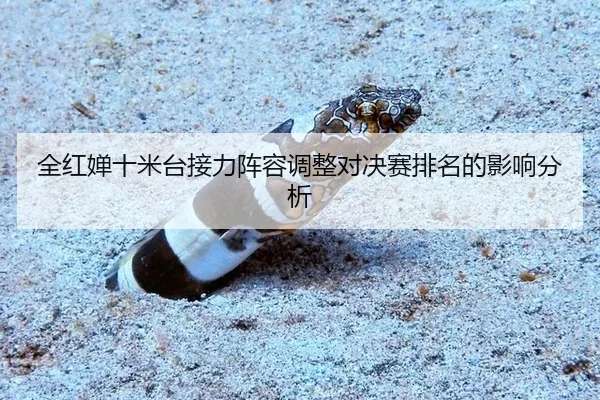 全红婵十米台接力阵容调整对决赛排名的影响分析